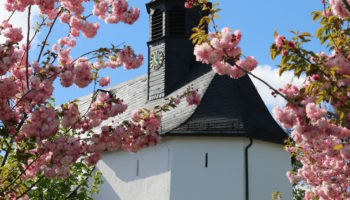 Maibaum zu Hause