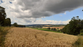 Gottesdienst am 25. Oktober