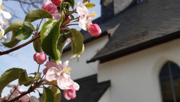 Abendgottesdienst am 10. Mai - Kantate
