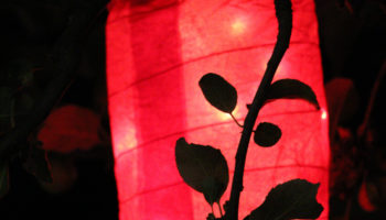 Lampiongottesdienst am 19. Juni