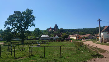Neues aus Jacobeni