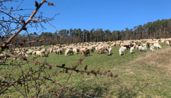 Gottesdienst am 1. Mai