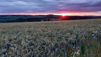 Gottesdienst am 5. Juli